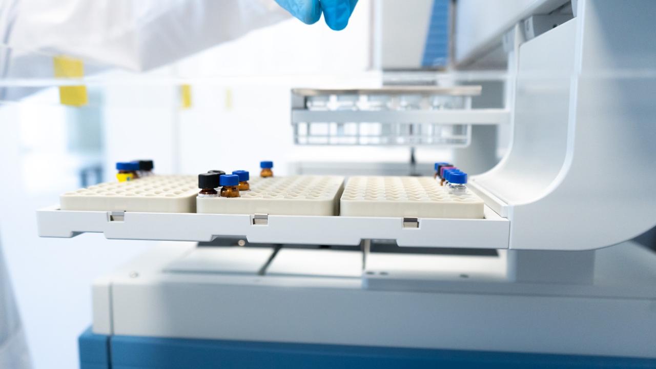 Незаметная угроза: стойкие химические загрязнители и их влияние на окружающую среду