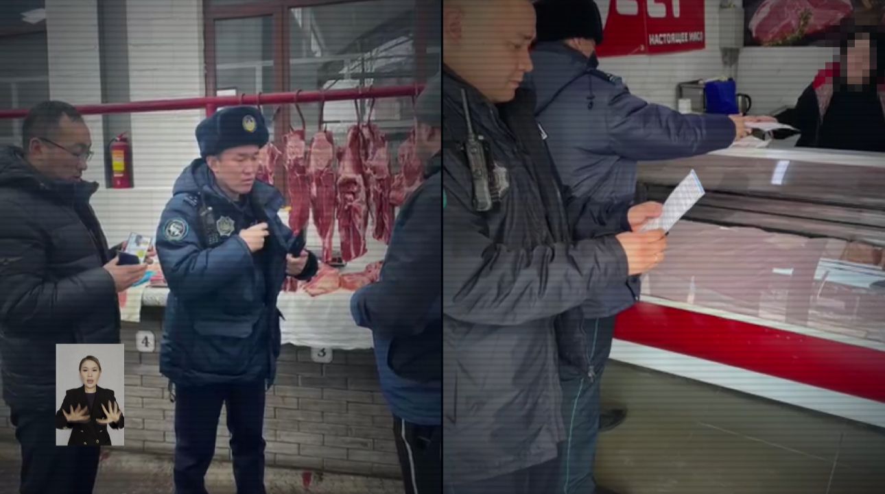 Елімізде 3 күнде мал ұрлығымен айналысқан 16 қылмыстық топ анықталды 