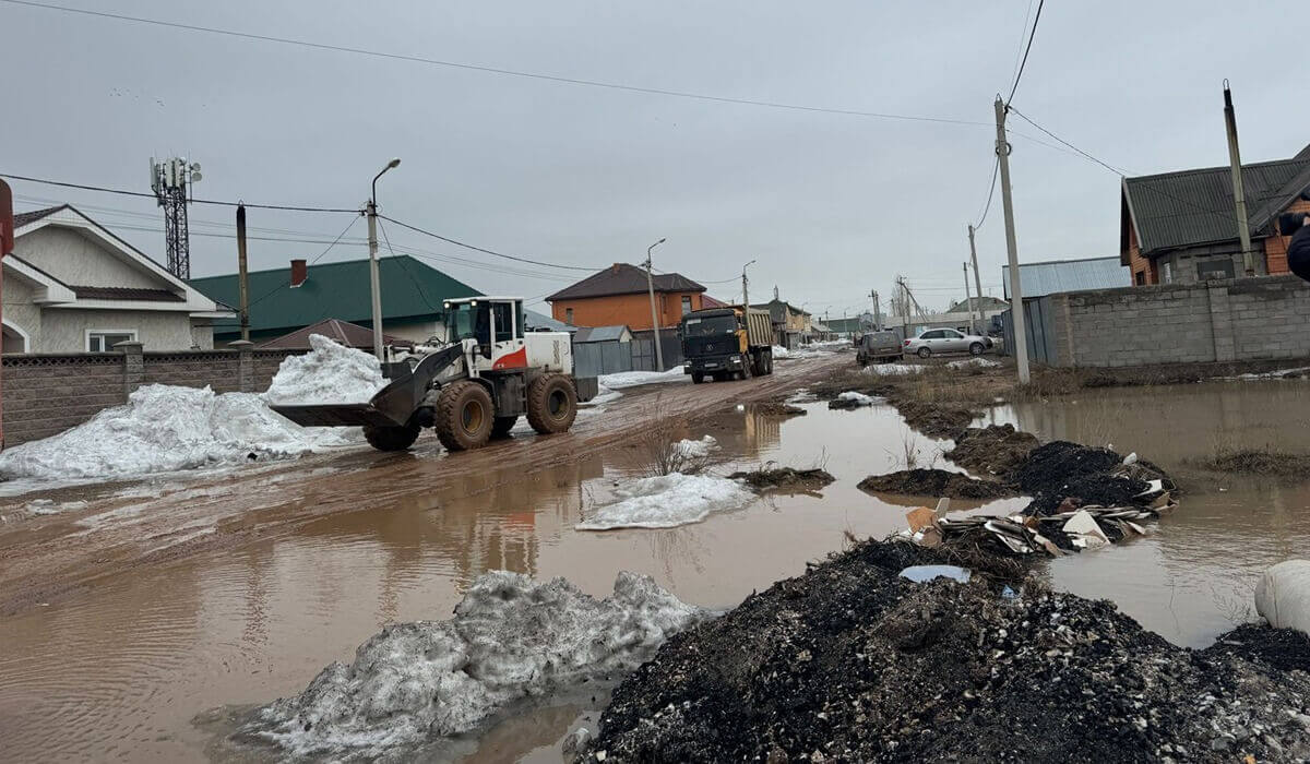 Қосшы қаласын су басу қаупі төніп тұр – министр