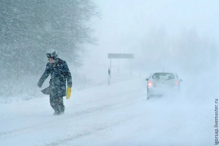 БҚО боран кезінде із-түссіз кеткен үш адамның денесі табылды