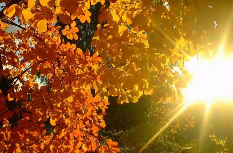 17 қыркүйекке арналған ауа райы болжамы