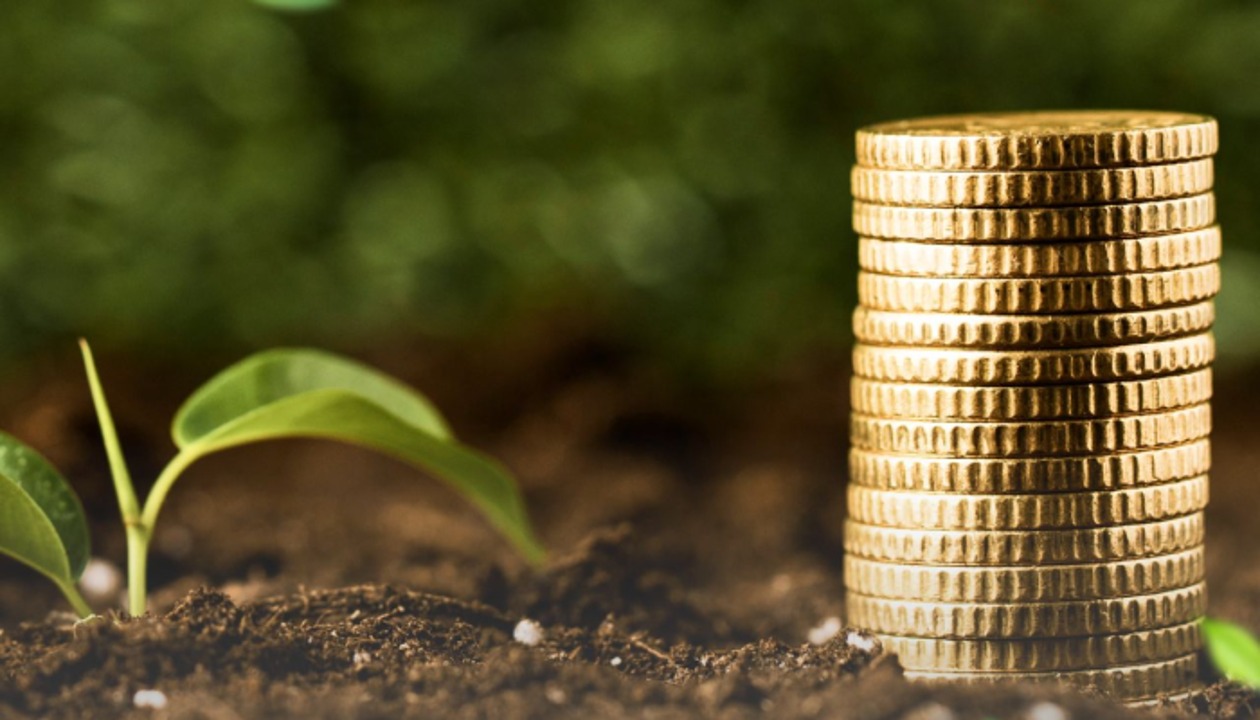 Ауыл кәсіпкерлеріне мүмкіндік: ҚазАгроҚаржы айыппұлдарды кешіру акциясын іске қосты