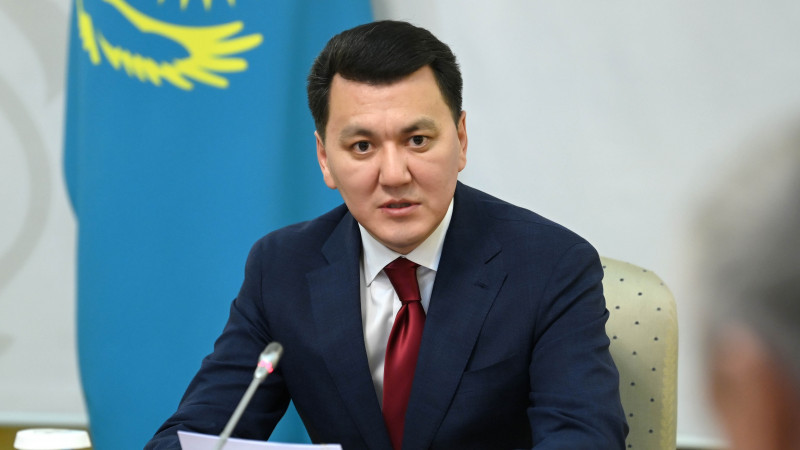  Қазақстанда 5 конституциялық заң мен 60 заң қабылдануы тиіс – Ерлан Қарин