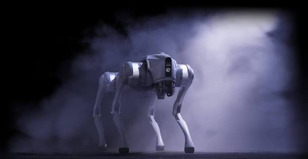 Алматыда мектепті күзетуге арналған робот-ит сынақтан өтіп жатыр