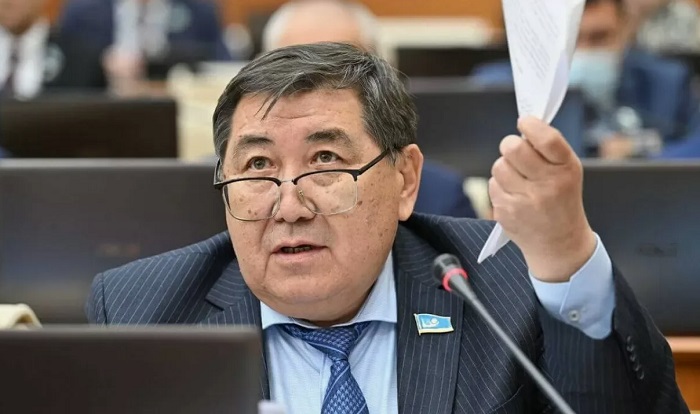 Депутат Үкіметтен отандық тауар өндірушілерді қолдауды талап етті 