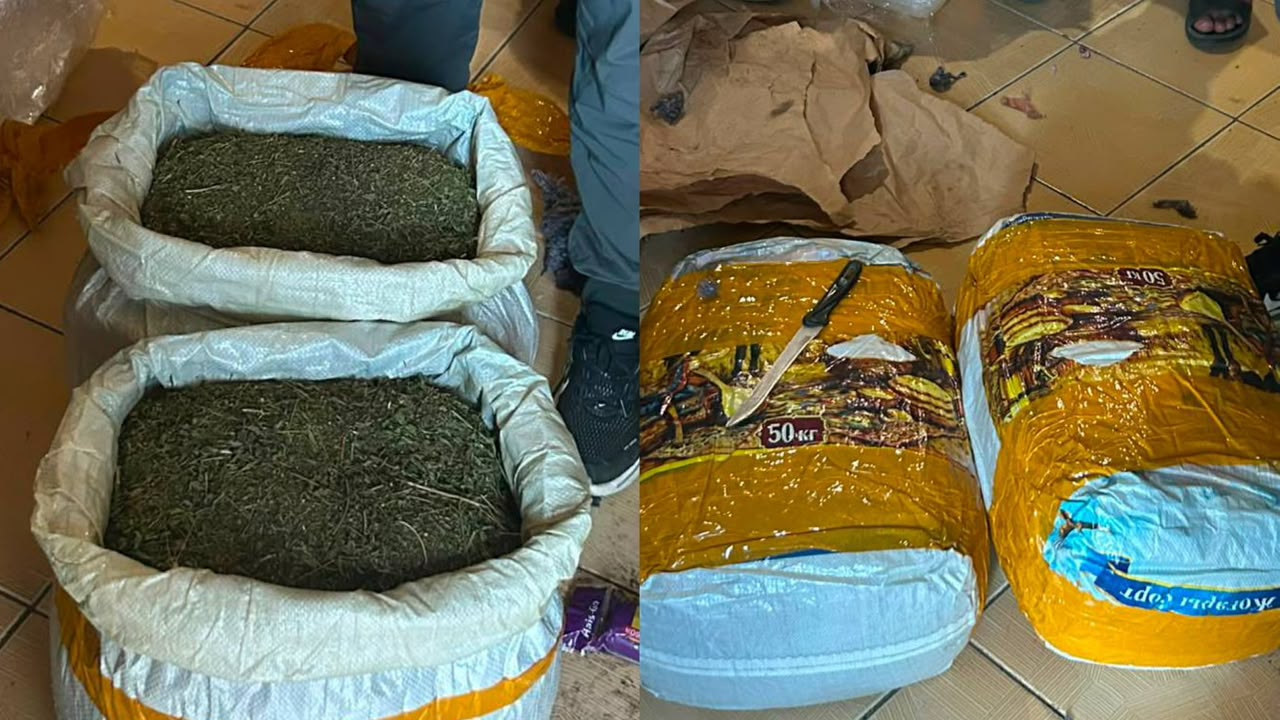 Маңғыстауда полицейлер 20 келіге жуық марихуананы тәркіледі: екі күдікті ұсталды 
